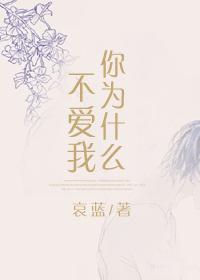 你为什么不爱我快穿