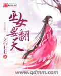 巫女解释