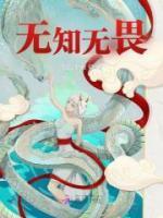 主角是黎落的一本