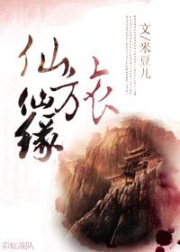 仙旅奇缘礼包码怎么用