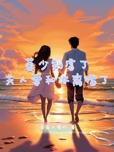 夫人别离婚了少领主免费阅读全文
