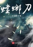 螳螂刀美容仪