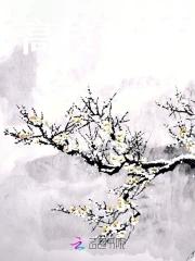 高枝难攀梁佑娶了谁