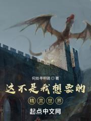 剑和魔法的世界