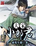 大宋小郎君大宋军神