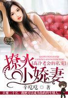 独家宠婚高冷老公呆萌妻 聚合中文网