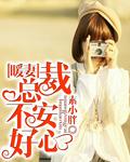 总裁暖宠贴心妻