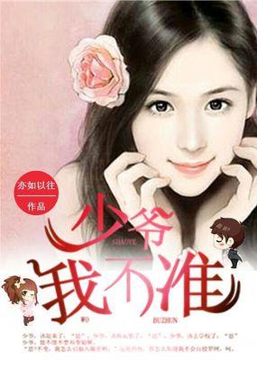 少爷我不准暖暖