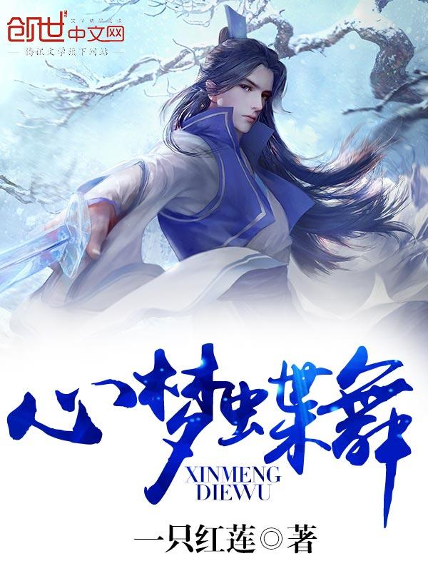 新梦蝶教学视频