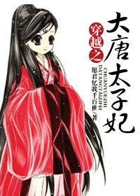 穿越之大唐太子妃r