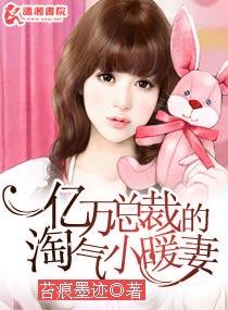亿万总裁的小小宠妻全文免费