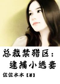 总裁猎捕小逃妻