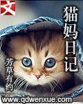 猫妈日记的作者是谁