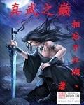 真武巅峰动画