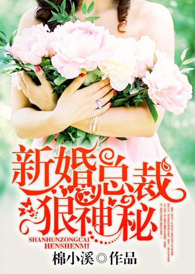 新婚总裁狠神秘免费阅读