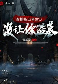 直播指点考古队:没让你盗墓!张帆